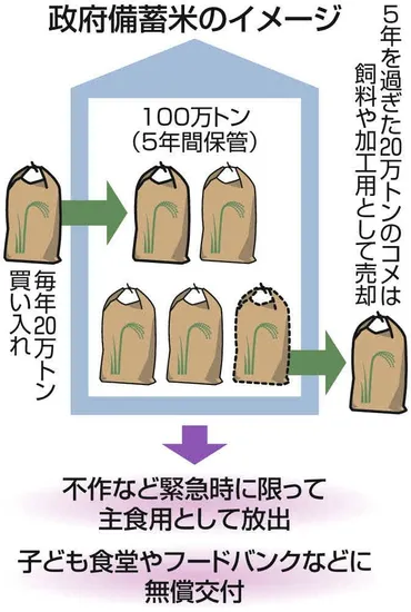 お米を買いたいのに…「政府備蓄米の放出」が実現しないのはなぜ?坂本農相は「品薄は順次回復する」と語る:東京新聞デジタル