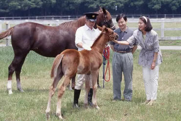 雅子さまの馬アレルギーは本当？真相に迫る雅子さまの馬アレルギーとは！？