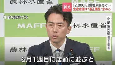 米価格高騰どうなる？小泉農水相の挑戦と日本の食卓への影響は？小泉農水相の米価格対策：随意契約販売と今後の課題