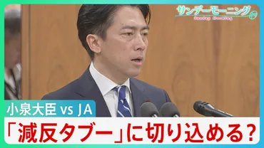 減反廃止」は長年のタブー小泉大臣の゛再戦゛の行方は不透明゛減反゛主張もどうなるコメ価格と農家の未来【サンデーモーニング】