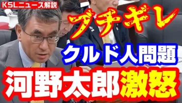 川口クルド人問題、ビザ免除と共生の狭間で？揺れる川口市：クルド人問題の現状と課題