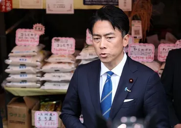 進次郎、やるじゃん!」と素直に喜べない人は知らない…「円の備蓄米」で米価が下がるワケ(ダイヤモンド・オンライン)