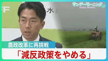 コメ担当大臣゛小泉新農水大臣、コメ不足認め「減反やめる」農政のタブーに挑戦、過去の反発乗り越えられるか【サンデーモーニング】