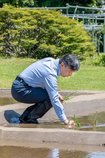 天皇と米の深い繋がり 歴代天皇は稲作を通じて五穀豊穣と国の安寧を祈願、現在も続く皇居内での稲作