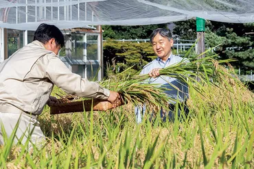秋の宮中祭祀゛新嘗祭゛「天皇陛下のお米」と「国民のお米」で五穀豊穣へ (1/1)