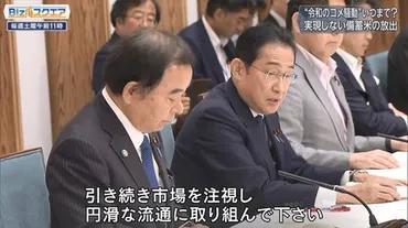 米騒動、岸田前首相は何を語った？備蓄米問題と今後の課題とは？米価高騰問題の真相と、岸田前首相の発言を徹底分析