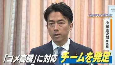 米騒動、小泉農水大臣の備蓄米放出と日本のコメ問題の行方？コメ価格高騰の背景と小泉農水大臣の対策、そして未来への課題