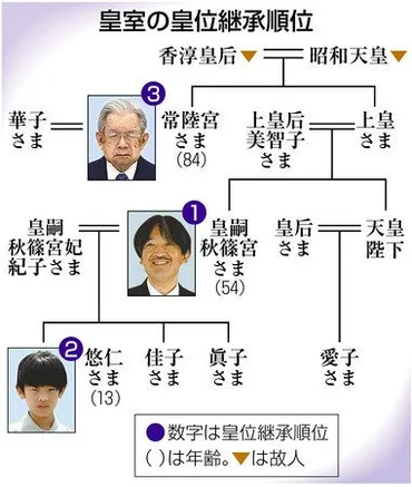 皇位継承議論、先送りへ ４月以降に 政府、国会決議とずれ：東京新聞 TOKYO Web