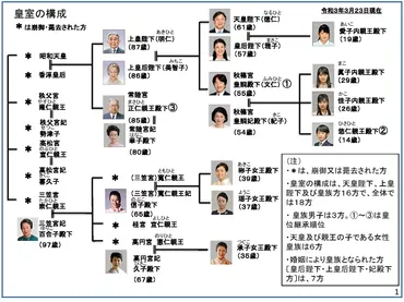 解説資料②皇室には、悠仁親王殿下と同世代以下の男子皇族はおられない 