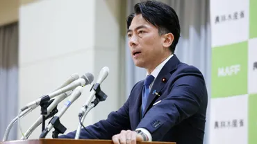 米価高騰の裏側！小泉農水相の挑戦と食卓への影響は？高騰する米価に小泉農水相が切り込む！備蓄米放出と、その波紋