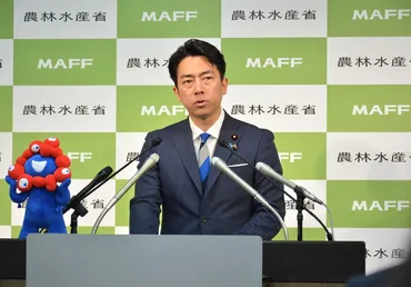 米価高騰はなぜ？小泉農相の発言と今後の食料事情への影響？32年ぶりの緊急事態！政府の米価対策と、農家・消費者の反応。