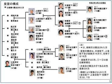 皇位継承問題、政府は一体何を考えているの？皇室典範改正、その行方は!!?