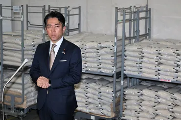 備蓄米放出はなぜ混乱？小泉農水相と現場の課題を徹底解説？現場の混乱と価格差、自民党内の対立、流通の問題点