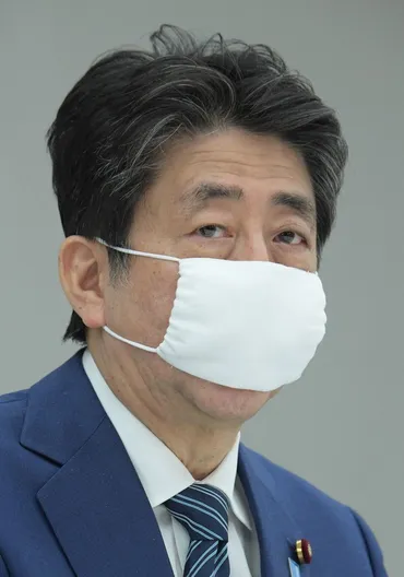 アベノマスクとは何だったのか？税金の無駄遣いを検証？アベノマスク問題の全貌：批判、不透明な調達、そして裁判の行方