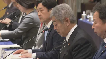 日韓外交の現状と課題：未来志向の日韓関係構築への道は？日韓、日中関係の現状と外交課題：未来への展望