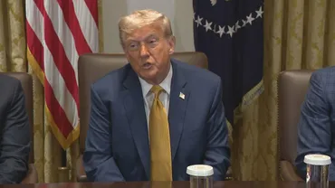 トランプ氏の貿易政策、ブラジル・韓国・インドへの関税と今後の影響？トランプ政権の相異なる貿易政策：ブラジル、韓国、インドへの対応