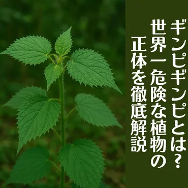 世界一危険な植物ギンピギンピ！激痛の秘密と対処法とは？オーストラリアの猛毒植物ギンピギンピ