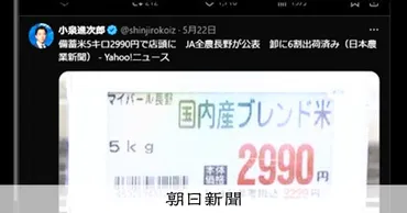 コメ価格高騰、小泉農水相の挑戦とその背景：コメ、備蓄米、JA、価格、流通問題？小泉農水相のコメ価格対策: 備蓄米放出と流通改革への道