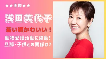 画像】浅田美代子は若い頃かわいい！現在は動物愛護活動に躍動！旦那・子供との関係は？ 