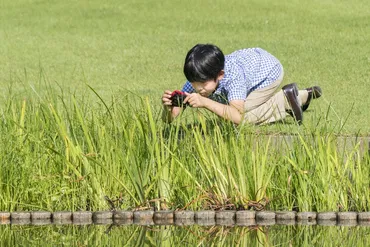 皇室スケッチ：悠仁さま、成長する探究心 トンボから生態系や環境保全に 