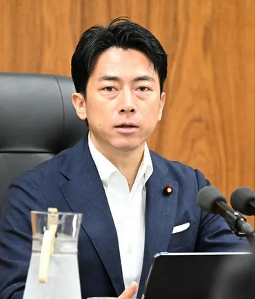 小泉氏が30日にも出馬表明へ 斎藤経産相は「決心」 自民総裁選 