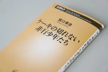 ケーキの切れない非行少年たち』が教える「忘れられた人々」に必要な眼差し 