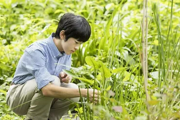 悠仁さまの東大進学は本当に特別扱い？ネット上の批判と情報公開の課題悠仁さまの東大進学をめぐる憶測とは!!?