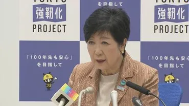 東京・明治神宮外苑の再開発 東京都の小池知事「適切に手続きを進めている」 ユネスコ諮問機関が計画撤回を求める 