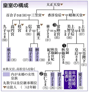 天皇ご一家、宮家存続構想 政府、女性皇族が継ぐ案：中日新聞Web