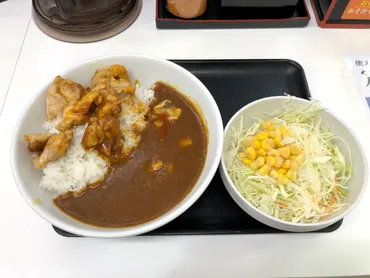 戦争】吉野家に『チキンスパイシーカレー』登場！ 松屋「ごろごろ煮込みチキンカレー」に宣戦布告か？ 