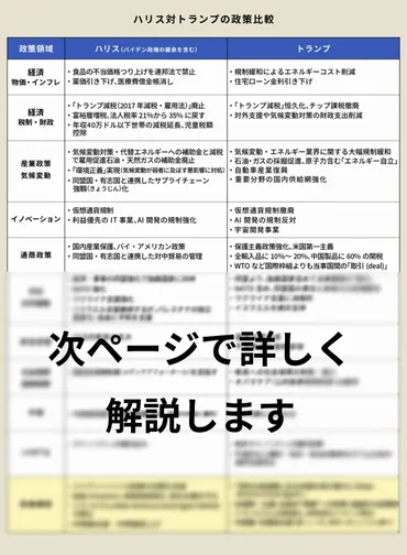 図解】米大統領選、ハリス対トランプの「対立点」11項目をわかりやすく解説 