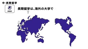 国際交流プログラム 