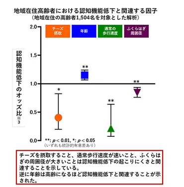 チーズは認知機能に良い？意外な効果とは！？チーズの驚きの効果とは！？