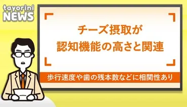 チーズ゛が脳を元気に！？日本人高齢者の認知機能向上に関連する驚きの研究結果