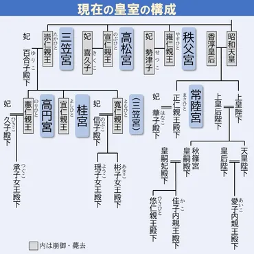 十一宮家物語〈第九回〉】「皇族の養子縁組」の意義と皇室の現状 政府の有識者会議が初めて公式に取り上げた「皇族の養子縁組」の可能性 ―「皇位継承 の流れをゆるがせにしない」ための皇族数の確保へ― 