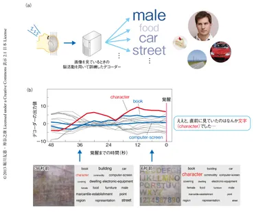 睡眠中の脳活動パターンからの夢の内容の解読 : ライフサイエンス 新着論文レビュー