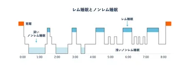 レム睡眠とノンレム睡眠について 