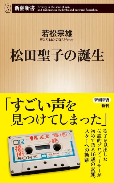 松田聖子：永遠のアイドルは、どのように時代と共に進化してきたのか？松田聖子の軌跡とは！？