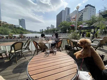 神楽坂・飯田橋】テラス席が最高の「カナルカフェ」でランチ！【テラス席ペット同伴可能】 