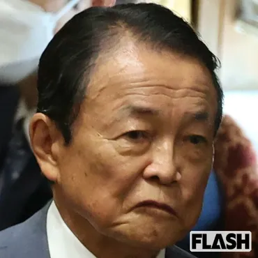 派閥の時代は終わった」麻生太郎氏、派内統制効かず゛キングメーカー゛終焉か…「党内でいじめられるかも」゛長男世襲゛にも暗雲（SmartFLASH） 