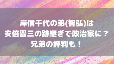 岸信千代の弟(智弘)は安倍晋三の跡継ぎで政治家に？兄弟の評判も！ 