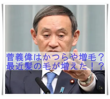 菅義偉氏の髪型は本当に増毛？ かつら疑惑を検証！変化の歴史とは！？