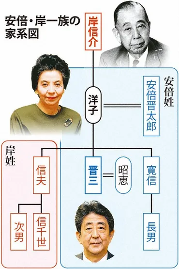 読む政治：政界、消えゆく「安倍家」 岸信夫氏の息子「おやじの跡を」 山口4区、後継おらず 