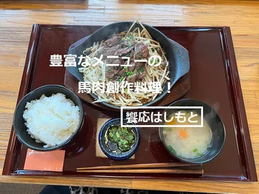 饗応はしもと】阿蘇くまもと空港近く!馬刺し専門店菊陽食肉センター直営!(熊本県菊陽町)