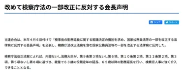 検察庁法改正案、なぜ三権分立が揺らぐ？日弁連副会長「検察官は司法に密接に関わっている」 