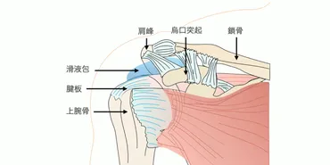 右肩の痛みは一体何を意味しているのか？スピリチュアルなメッセージとは！？