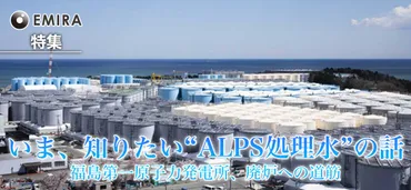 いま、知りたい゛ALPS処理水゛の話 