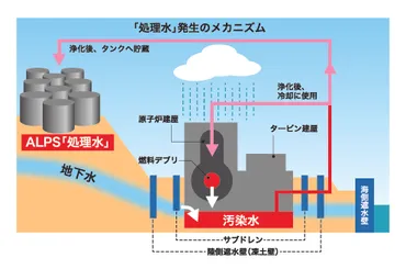 Q＆A】ALPS処理汚染水、押さえておきたい14のポイント 