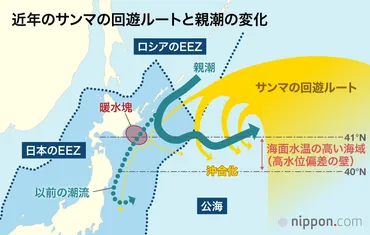 サンマ漁の現状は大丈夫？激安サンマの真実とは！？