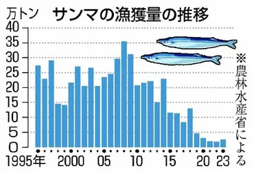 サンマの不漁はまだまだ続く？ 2024年も来遊量少なく・水産庁が見通し 魚体も平均より小ぶり「これほどの年はなかなか…」 